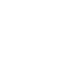 deepvision_blanco